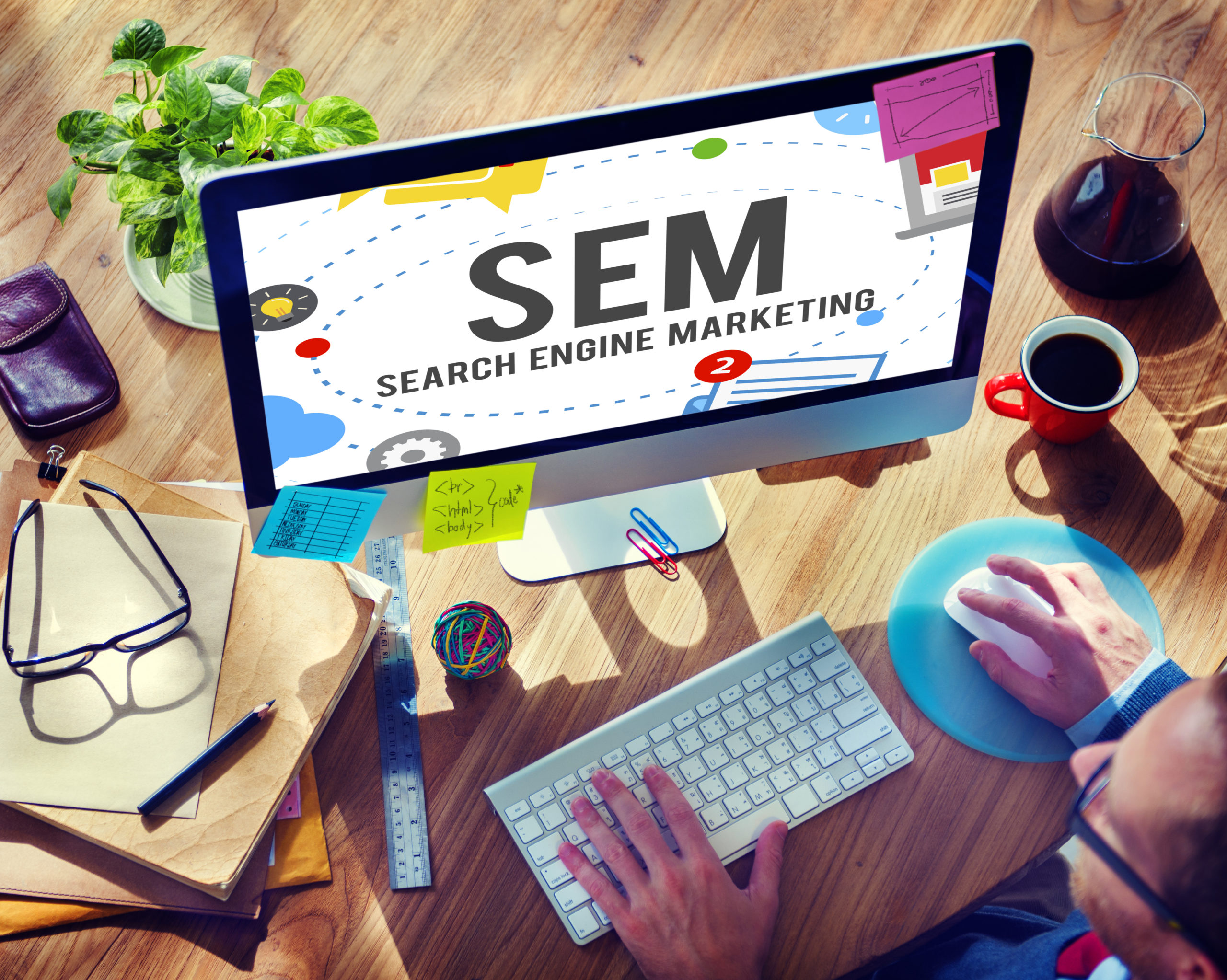 digital marketing expert in malappuram